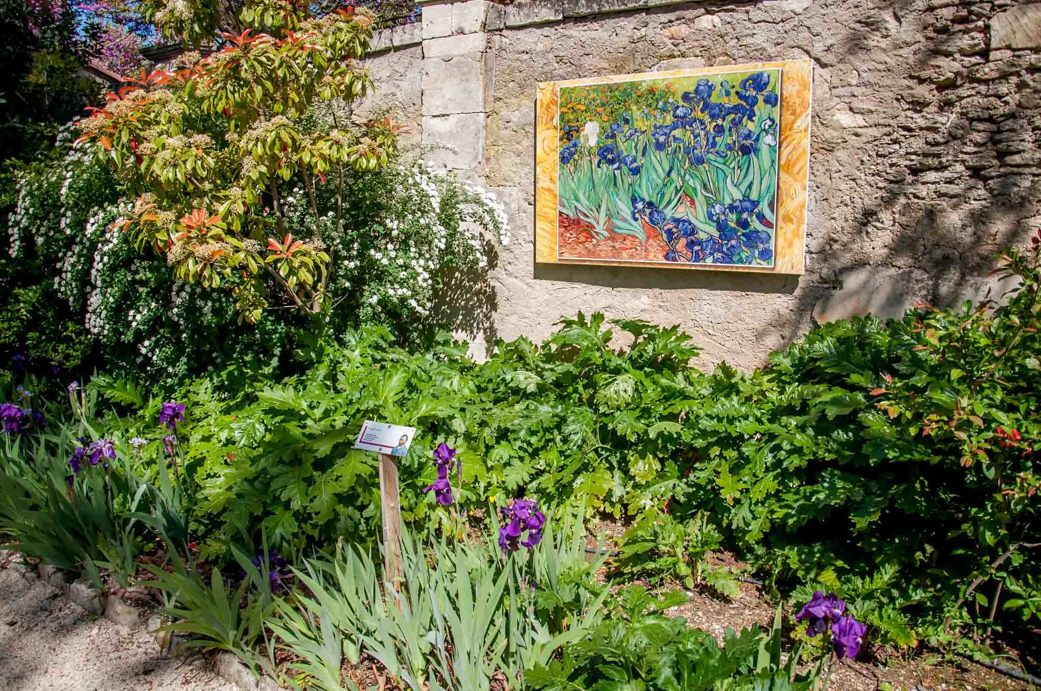 Replicas of Van Gogh's painting of flowers set among flowers
