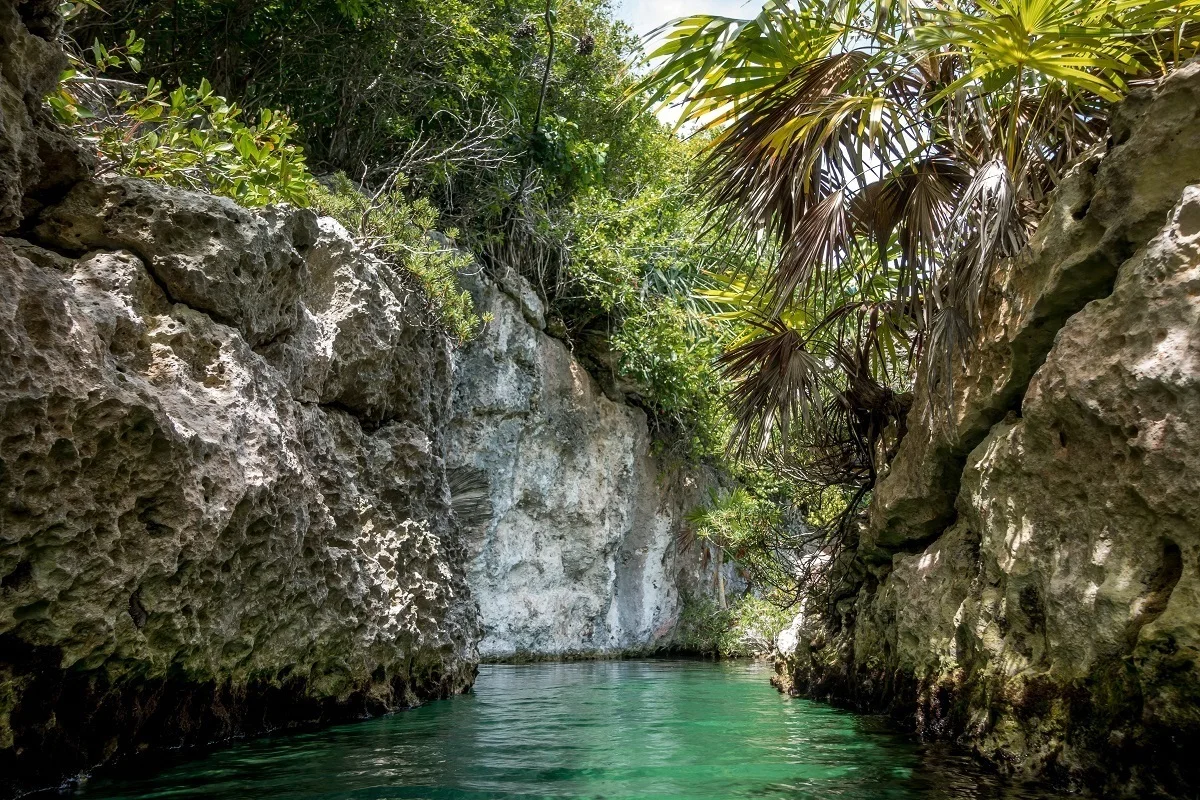 River and grotto surrounded by trees