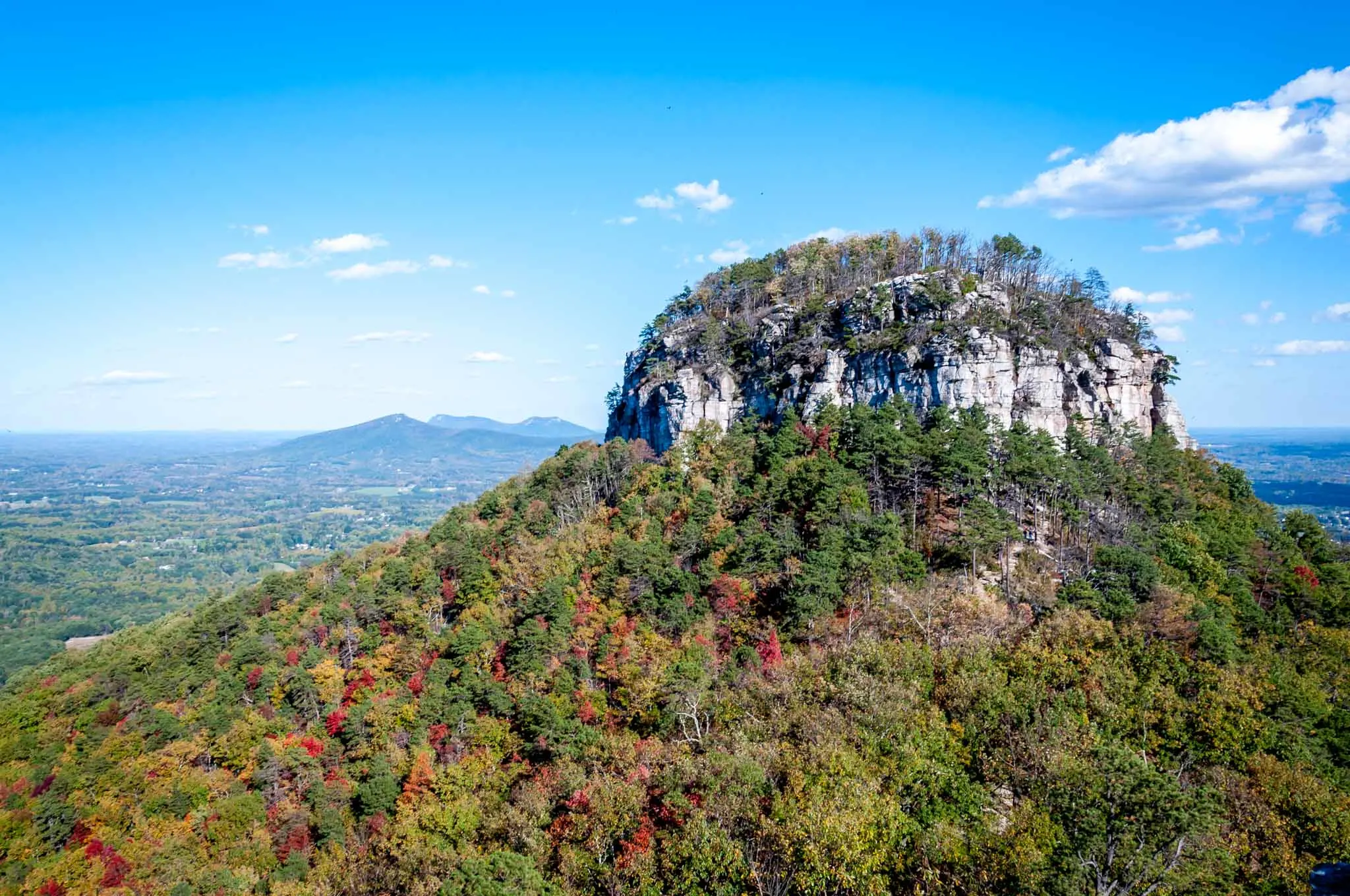 Top of a mountain with white rock peaking through and covered with trees with multicolored leaves