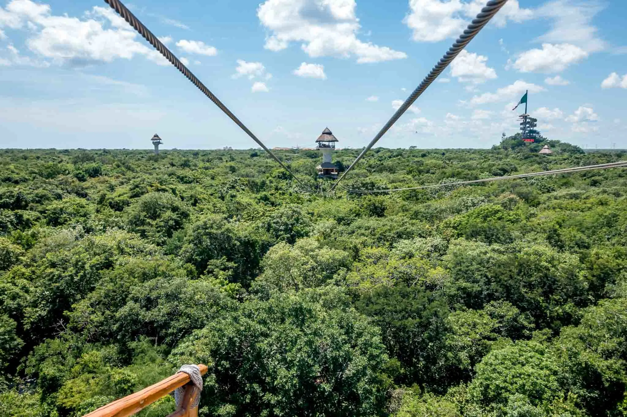 Zip lines above a tree canopy