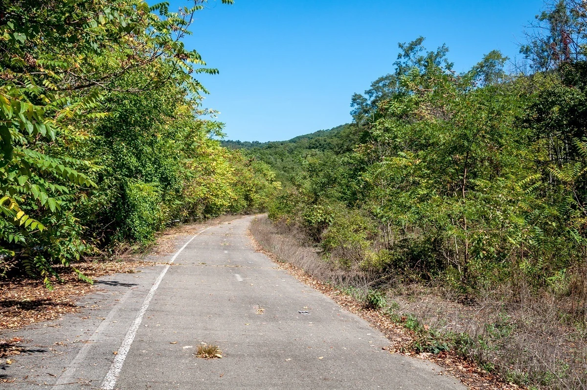 Section of the abandoned PA Turnpike being reclaimed by nature