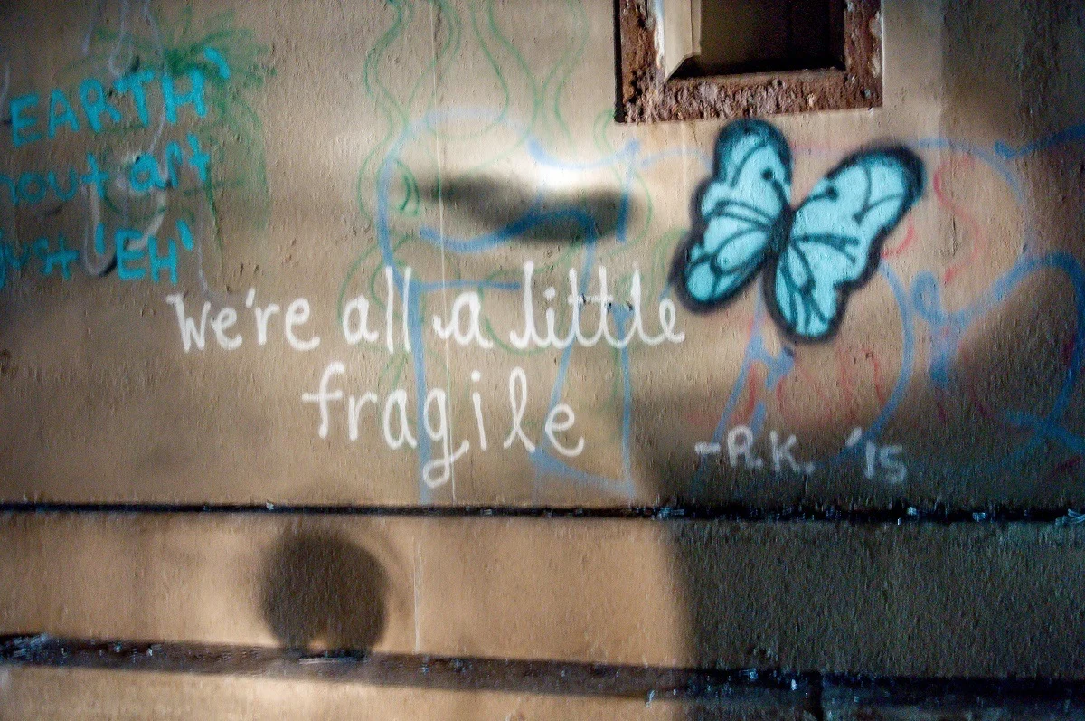 Graffiti in the Rays Hill Tunnel on the Abandoned PA Turnpike