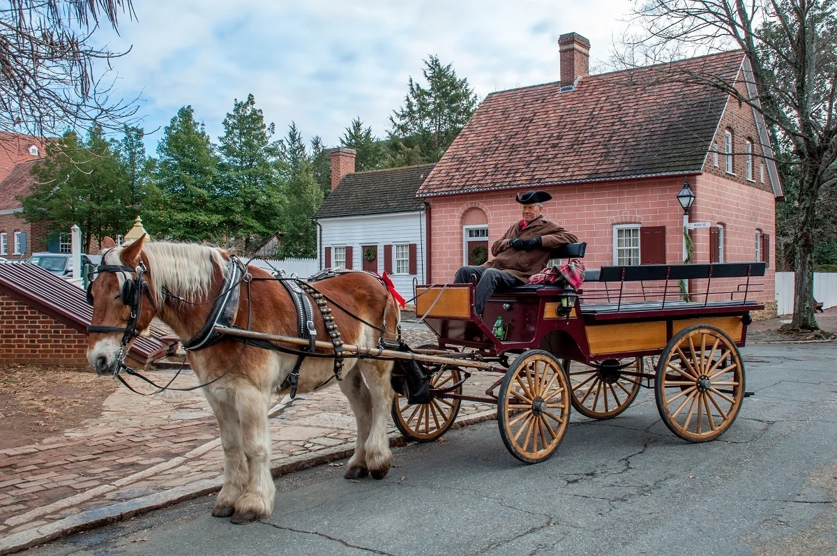 Horse drawn carriage at Christmas