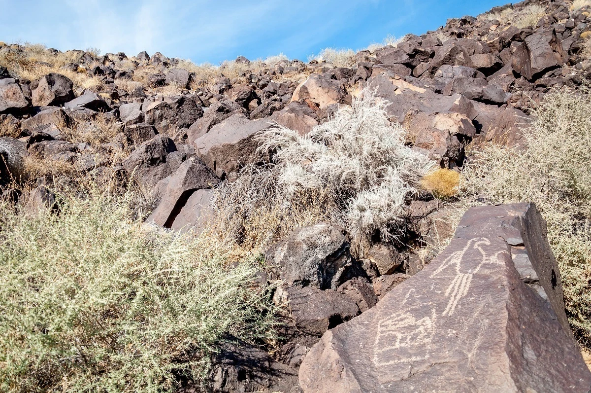 Bird petroglyph on a rock