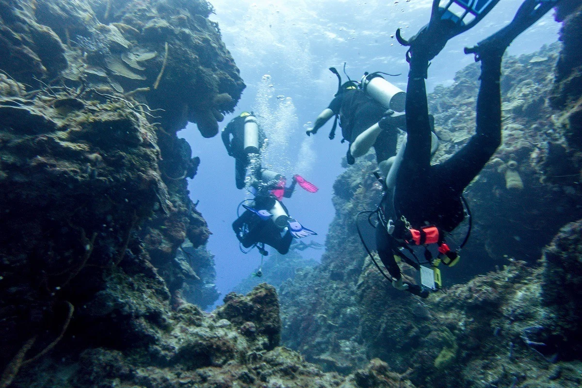 Scuba divers going between coral columns in Mexico