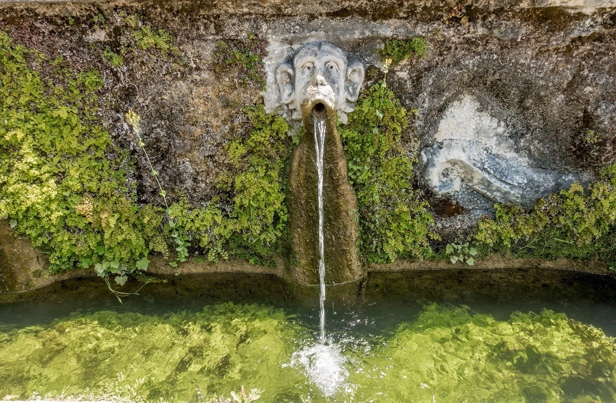 Water spouting from mouth of a monkey statue