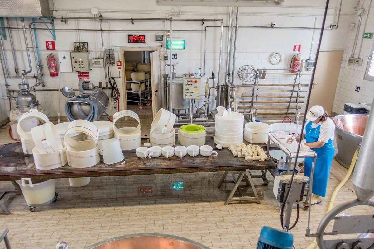 Cheese maker preparing equipment for the day