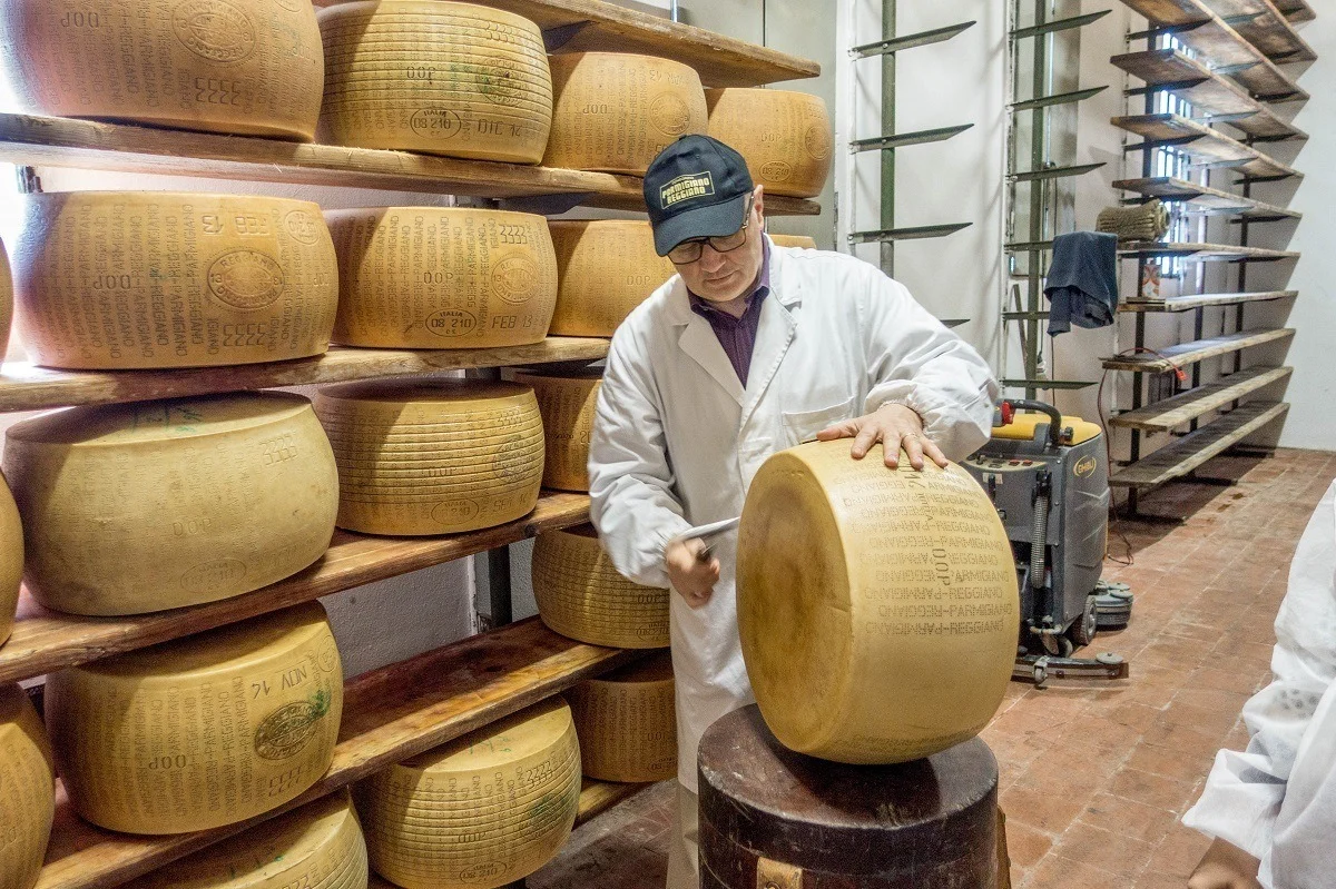 Man examining wheel of Parmigiano-Reggiano