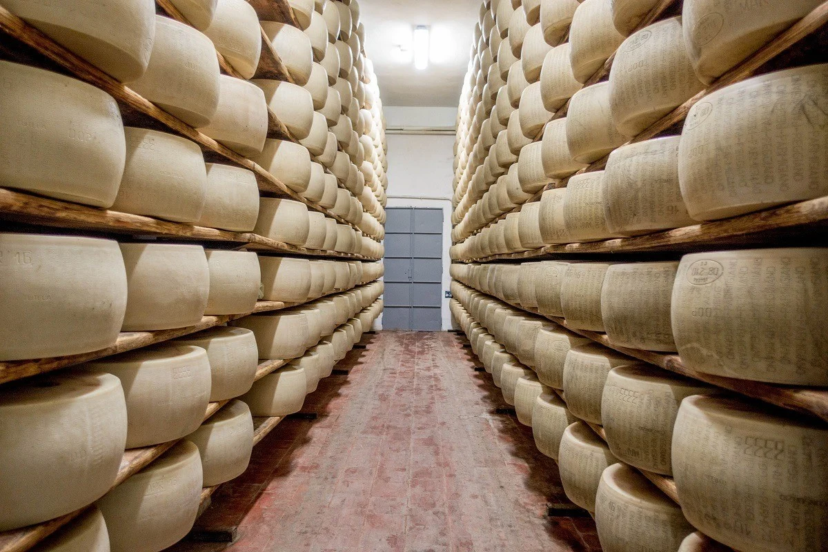 Wheels of Parmigiano-Reggiano aging at a dairy in Parma, Italy