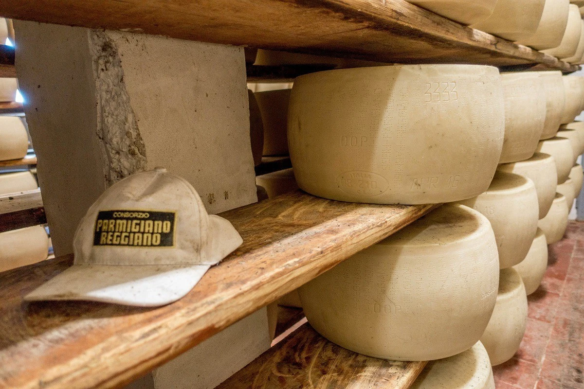 Wheels of Parmigiano-Reggiano aging on shelves