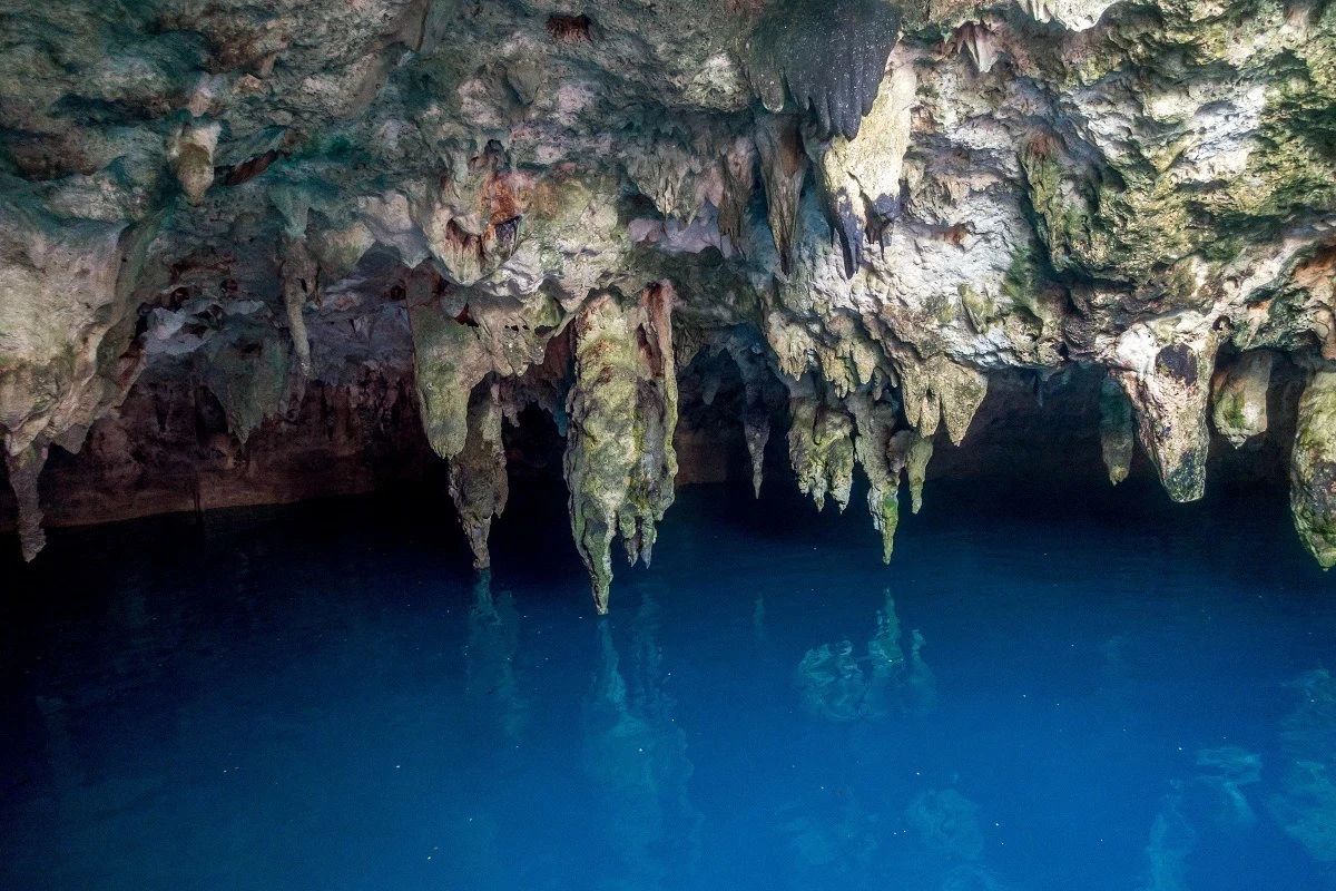 Stalactites at Cenote la Noria growing down into the water