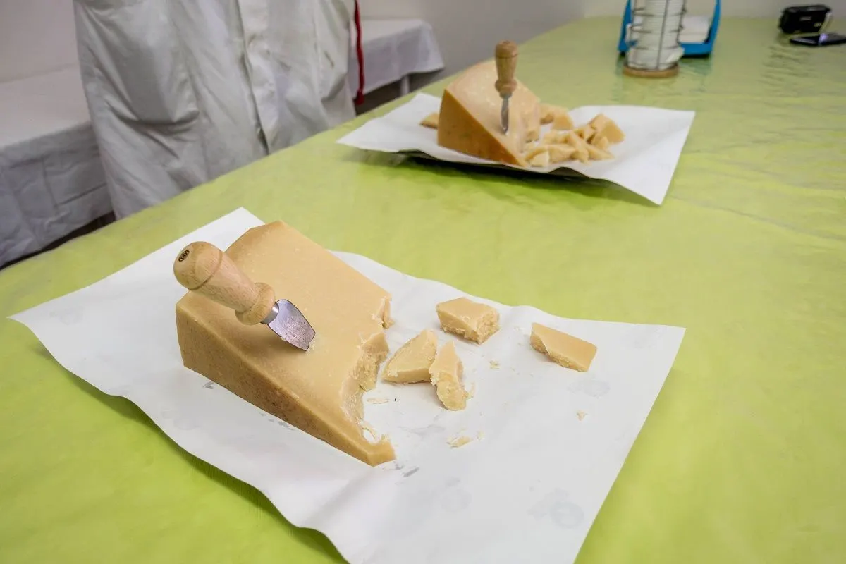 Chunks of cheese on table