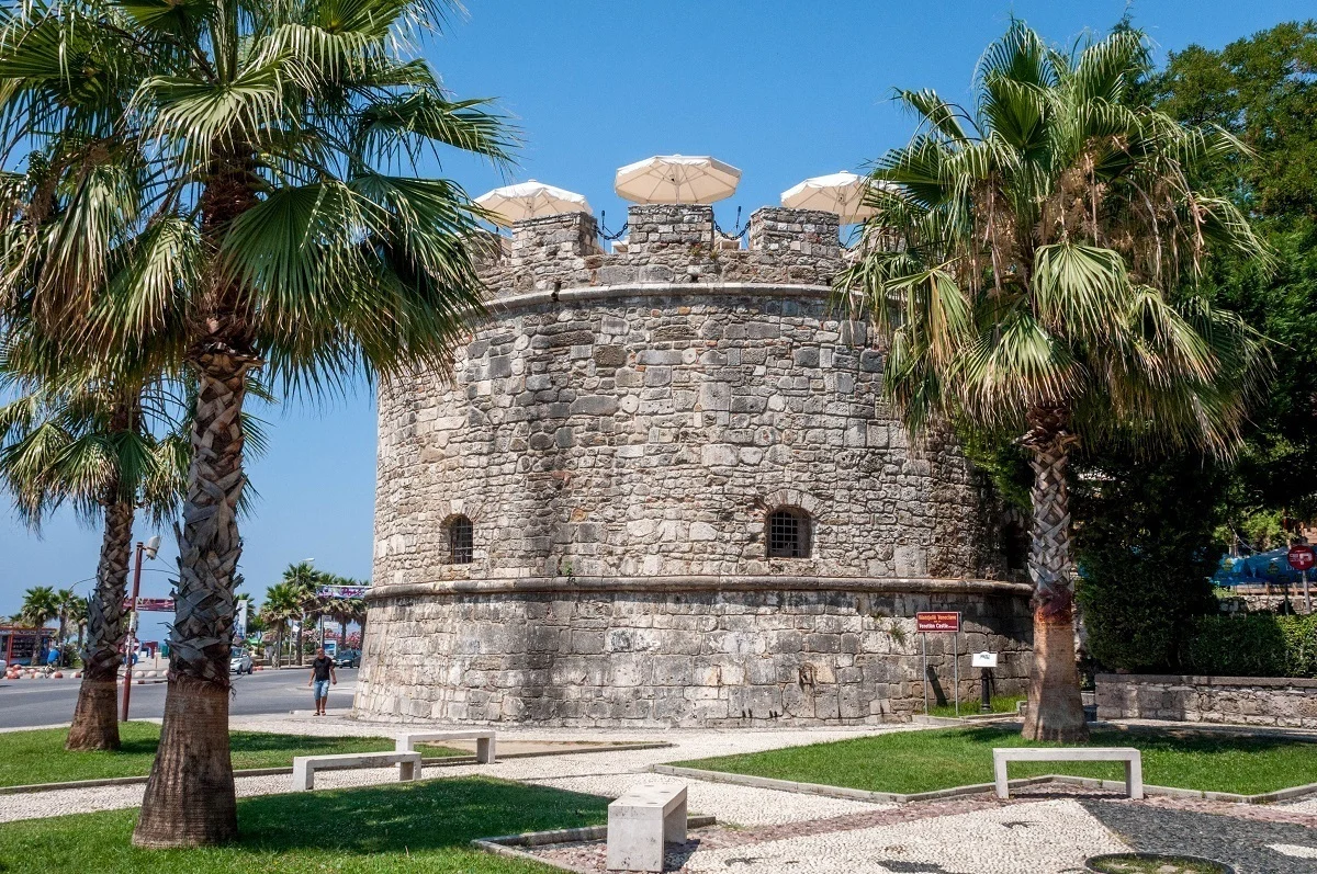 Stone tower surrounded by palm trees