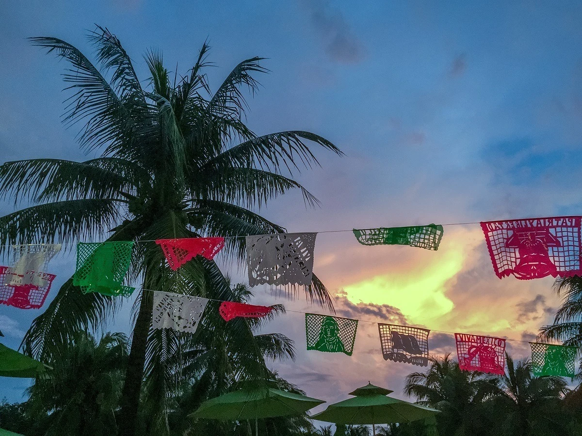 Palm tree in Mexico at sunset with fiesta flags