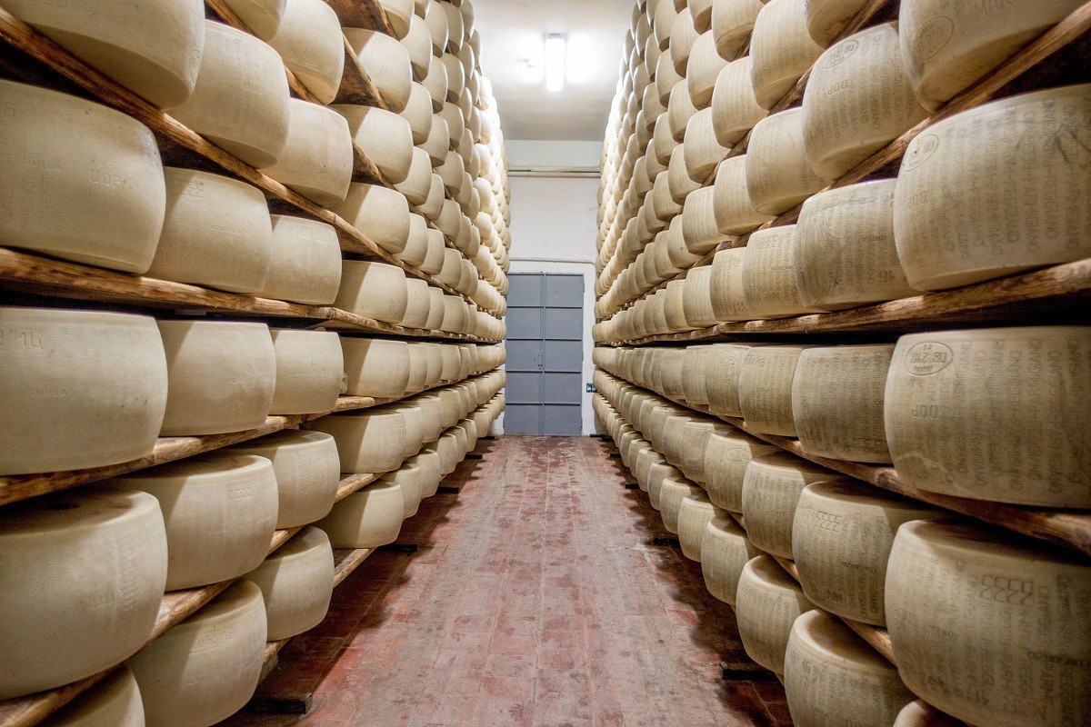 Wheels of Parmigiano-Reggiano on shelves 