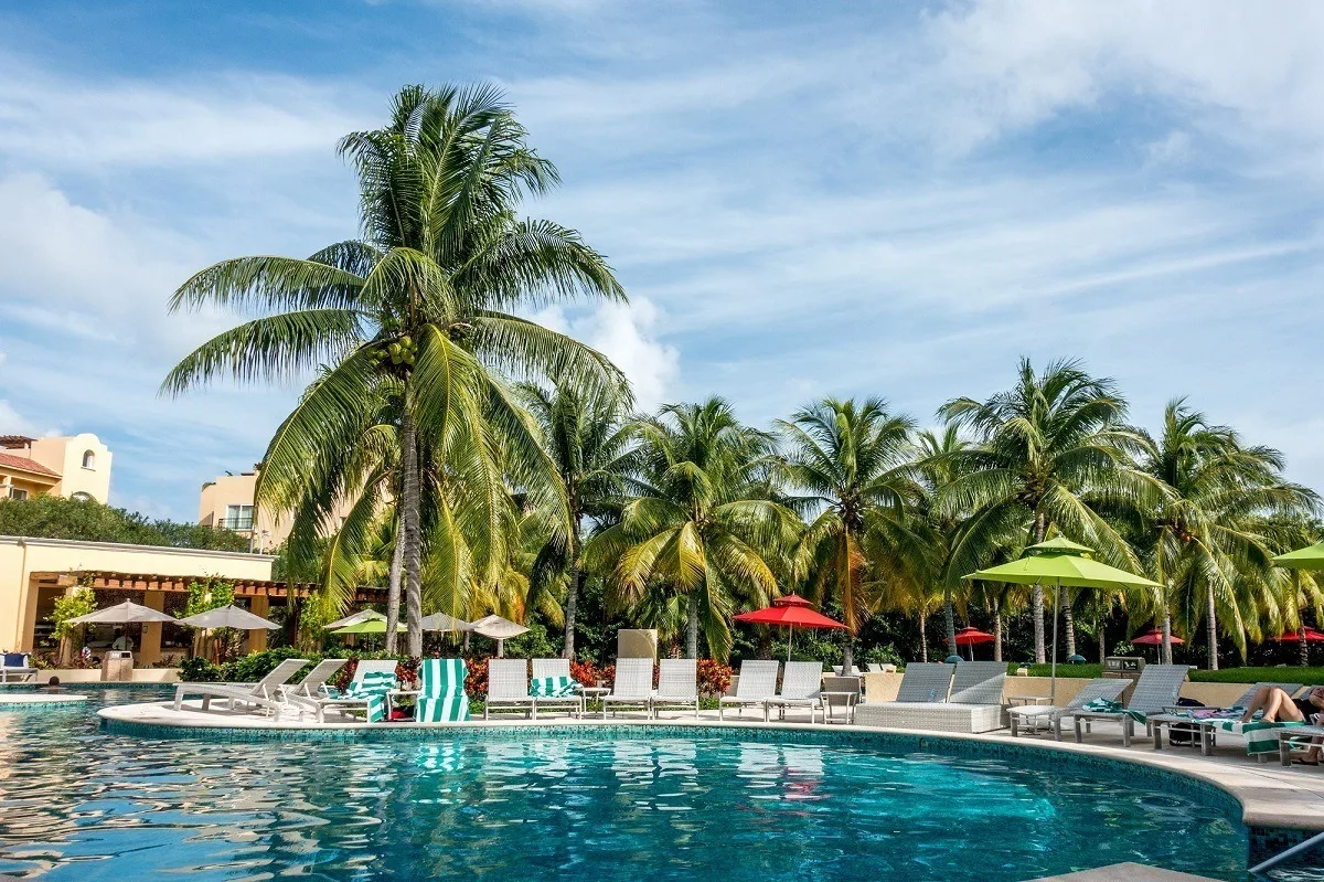 Palm trees by the Hacienda Tres Rios pool
