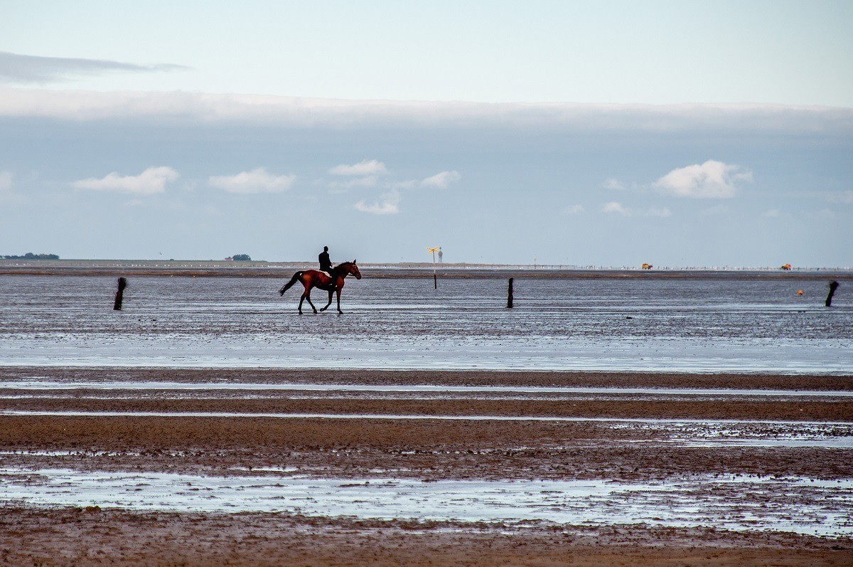 A lone horseback rider out on the salt flats