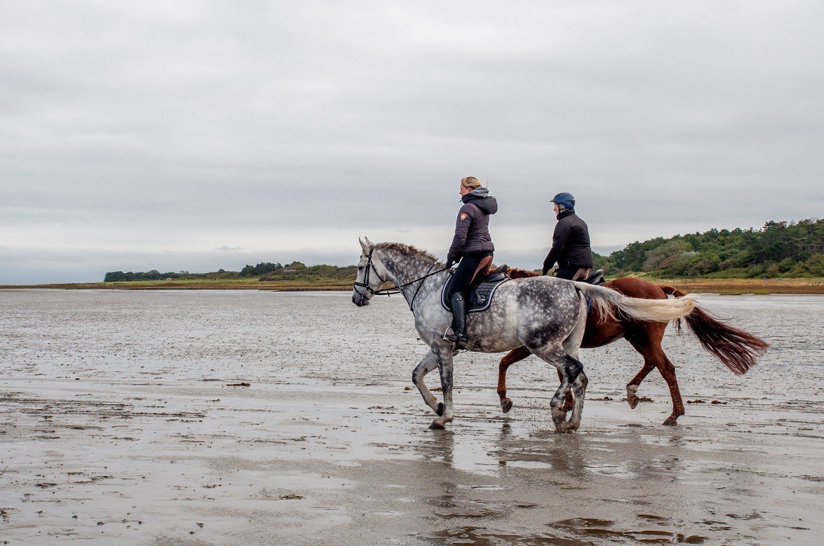 People ride horses out on the salt flats in the tidal basin