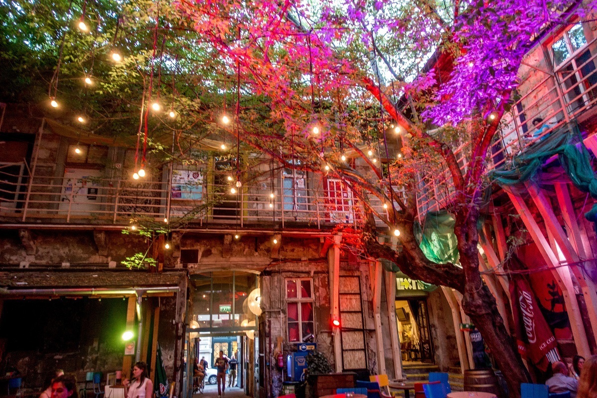 Bar courtyard with tree growing in the middle