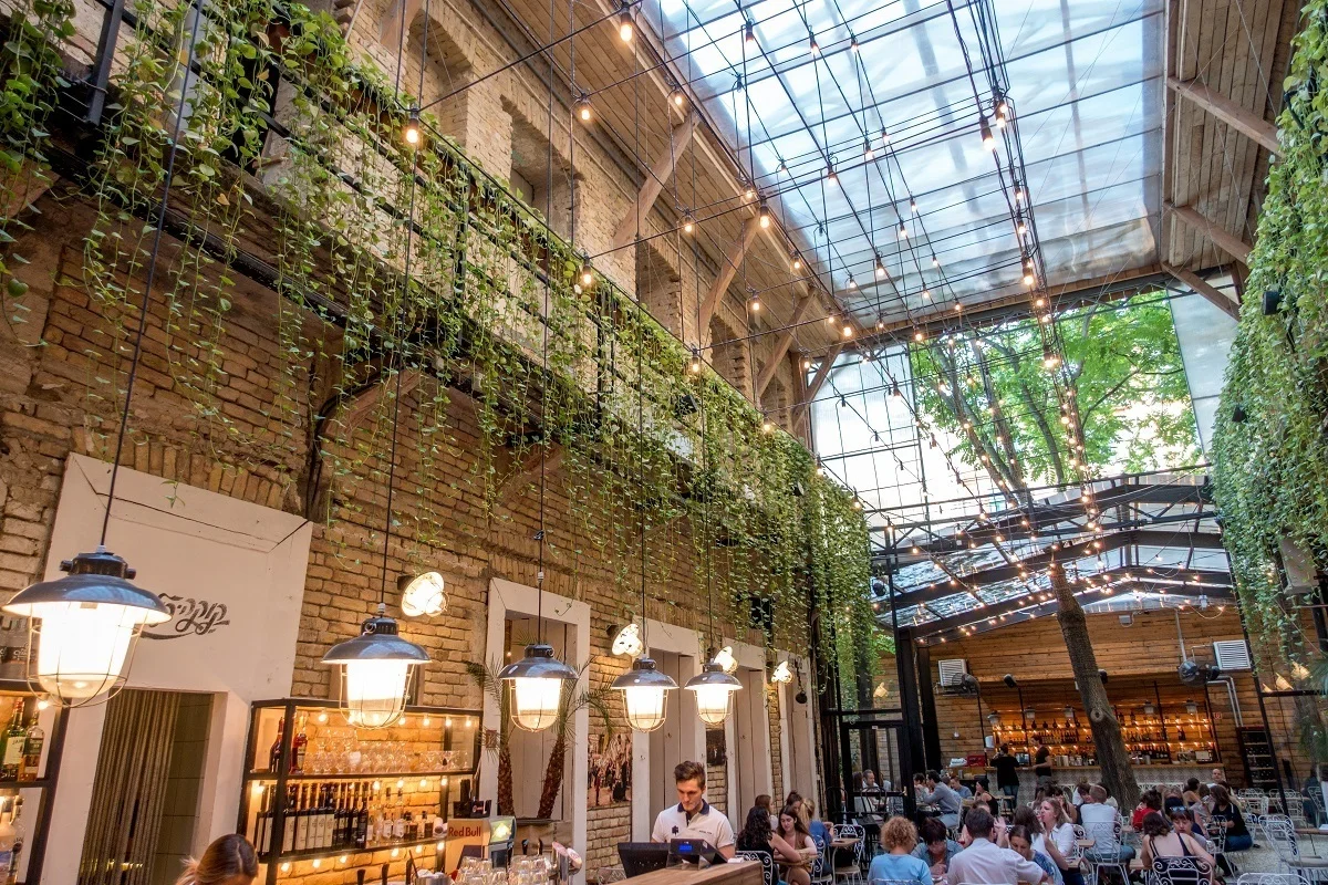 People eating in an airy courtyard with ivy and white lights.