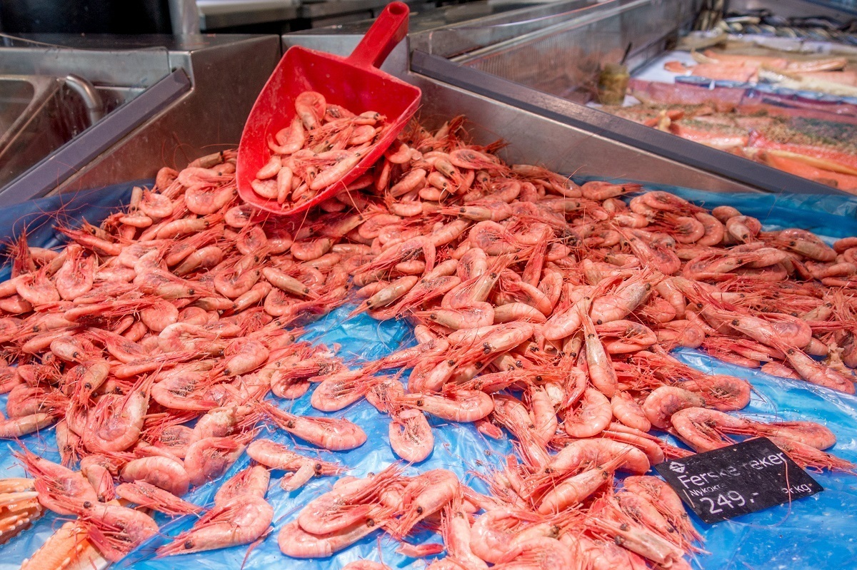 Shrimp for sale at a market