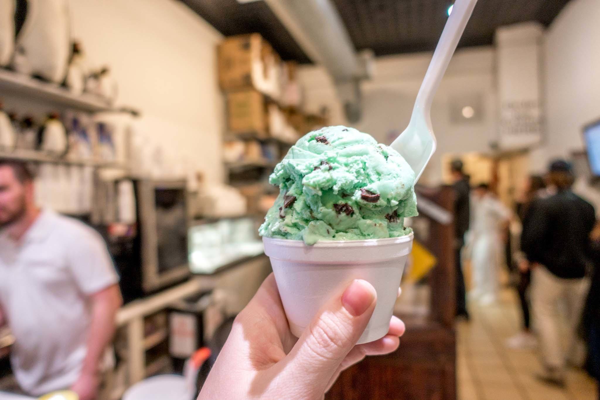 Cup of mint chocolate chip ice cream.
