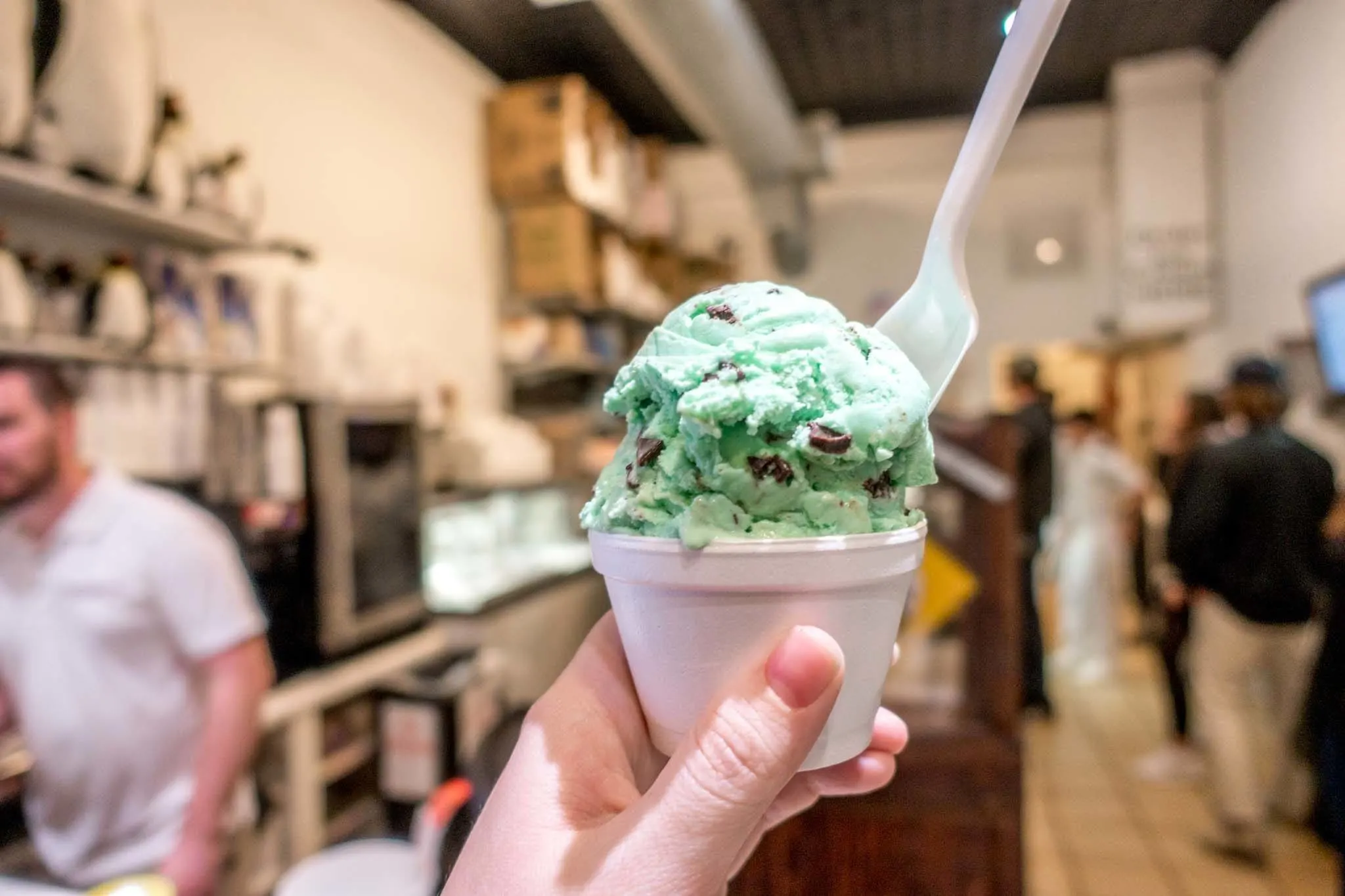 Cup of mint chocolate chip ice cream.