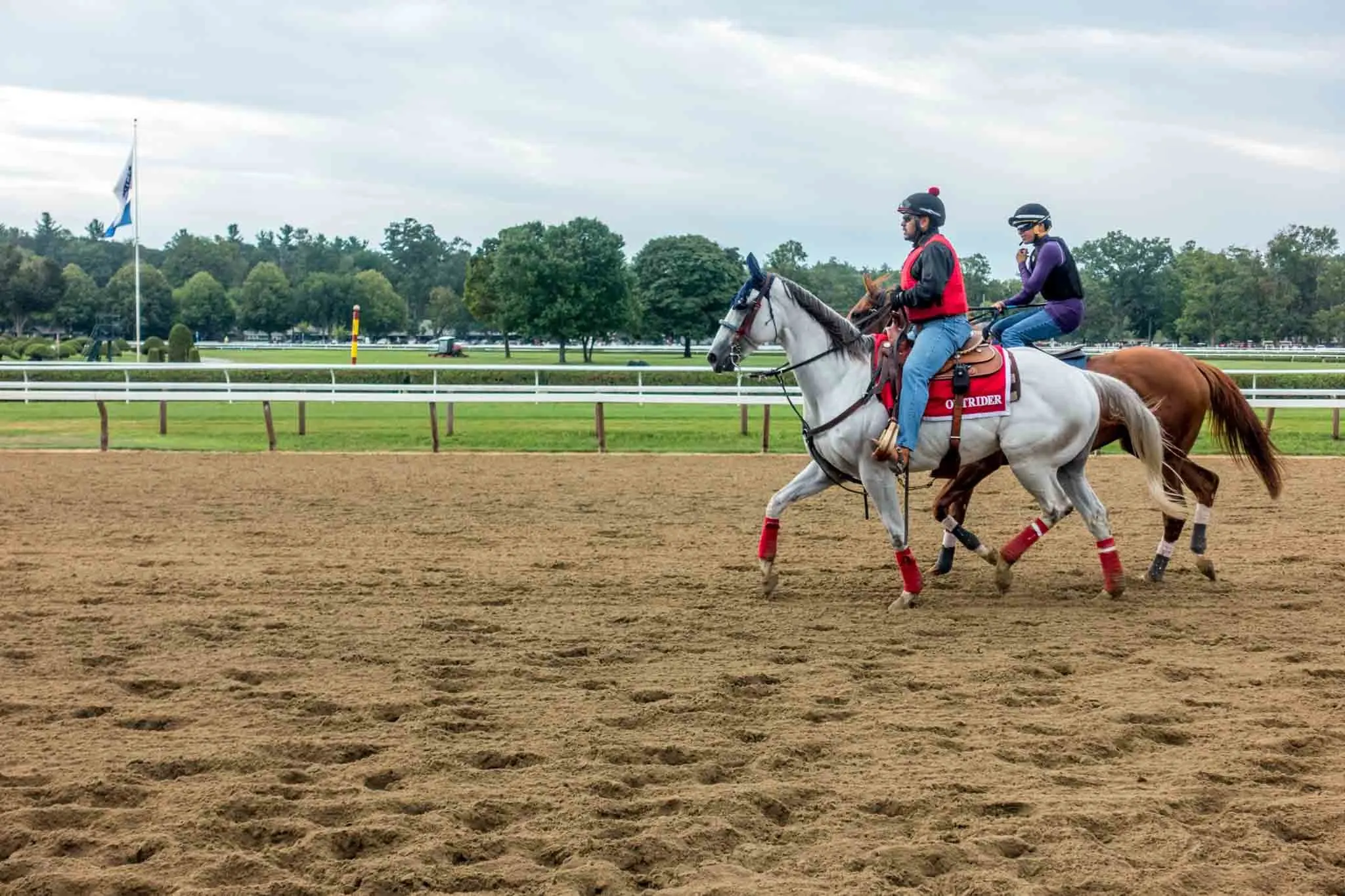 Horses and jockeys warming up at a racetrack.