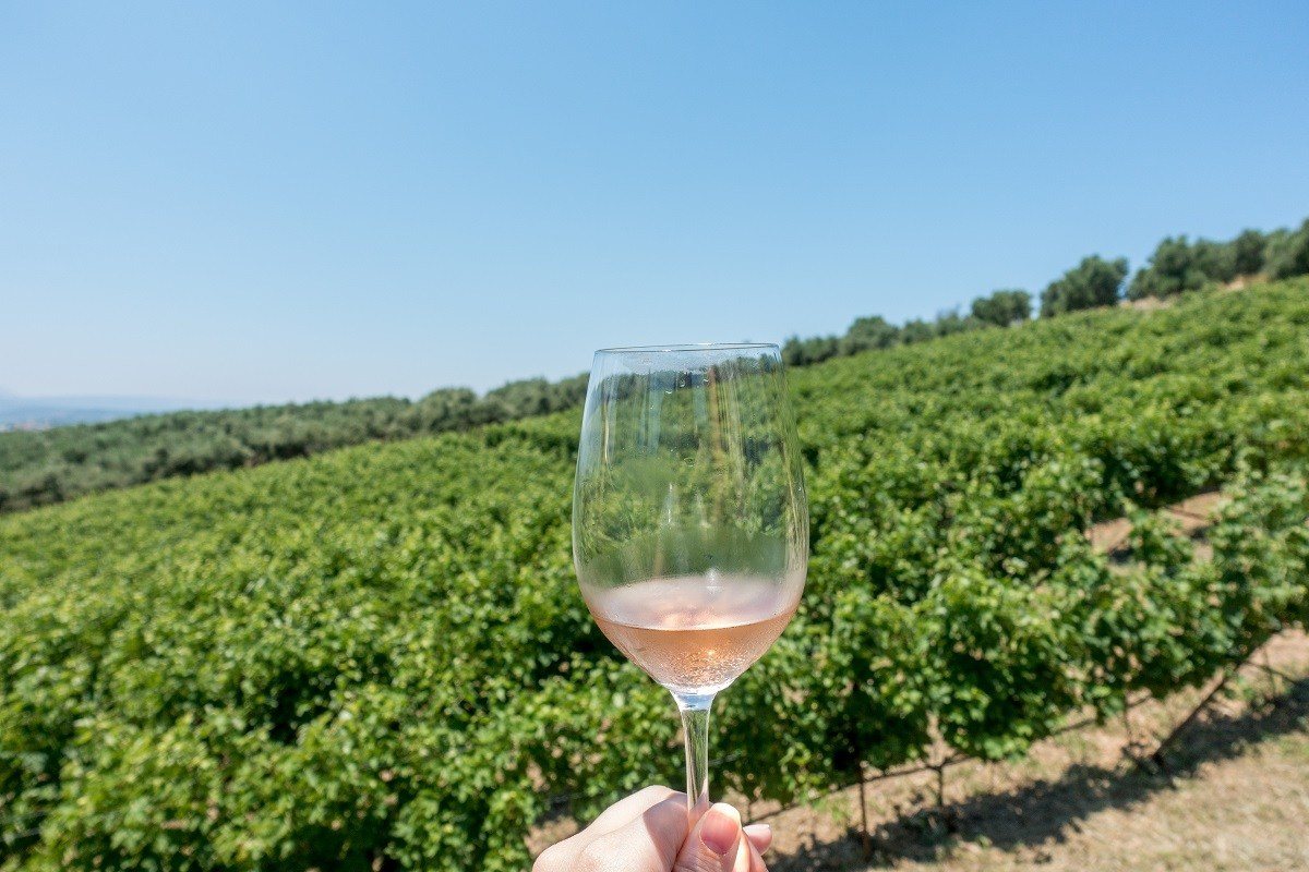 Wine glass beside a vineyard