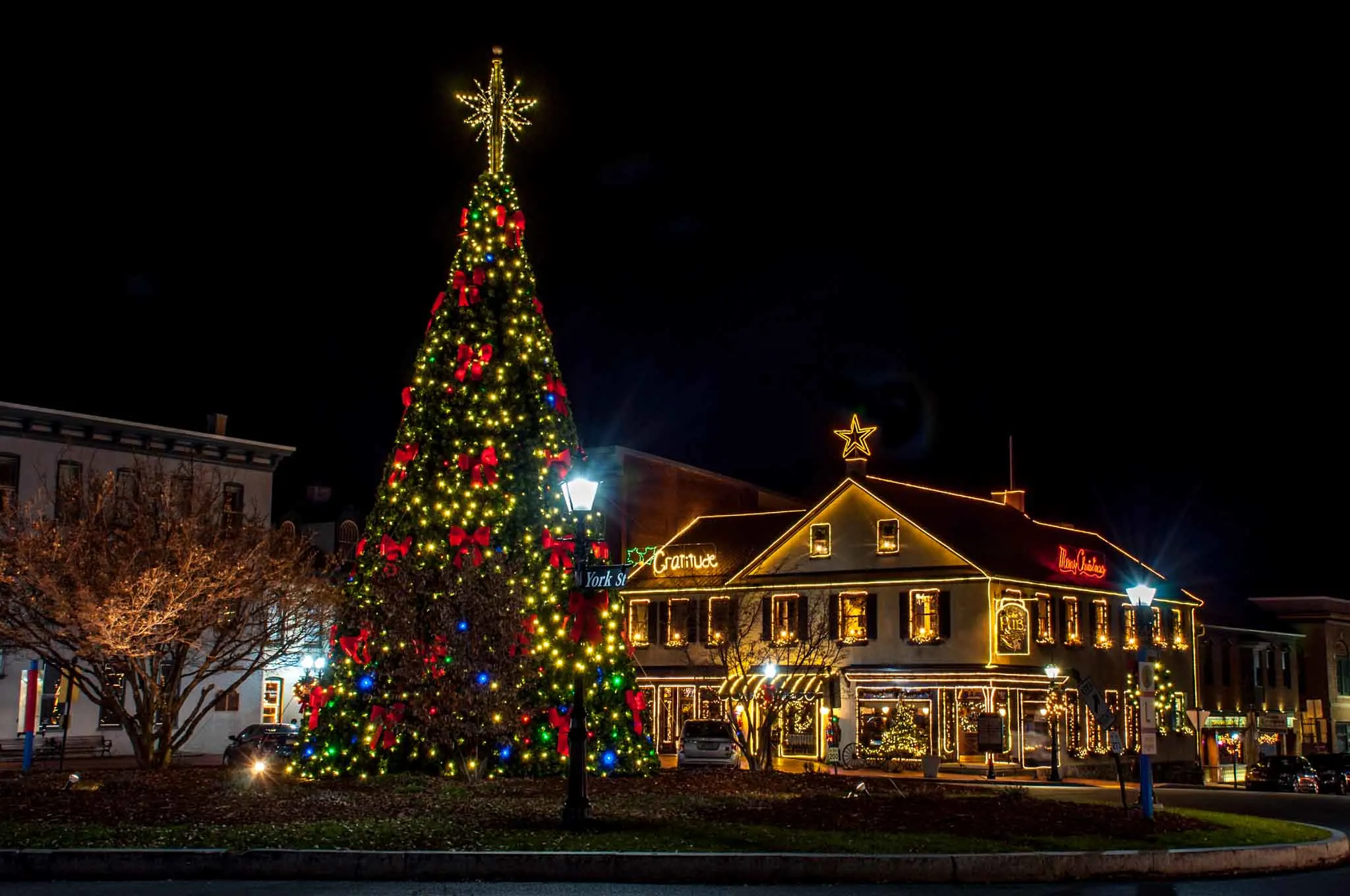 Christmas tree and buildings lit up for Christmas.