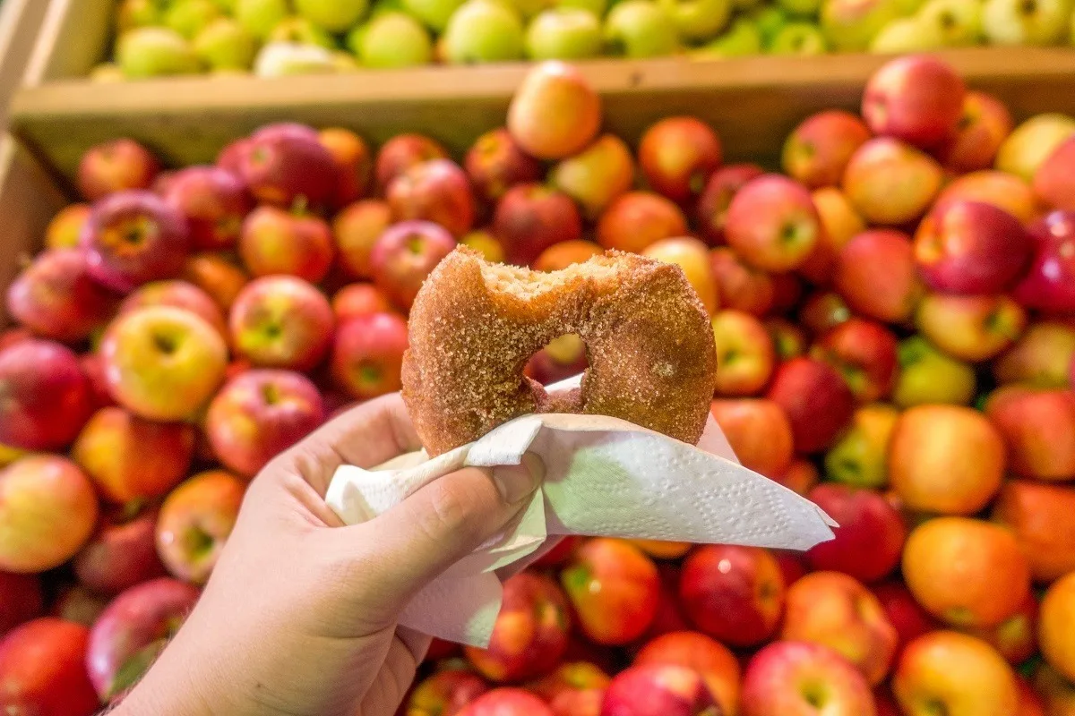 Cider donuts and apples