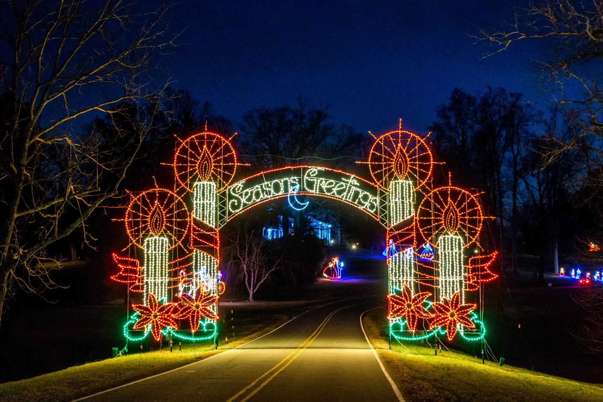 Christmas lights in the shape of candles with a "Seasons Greetings" label.