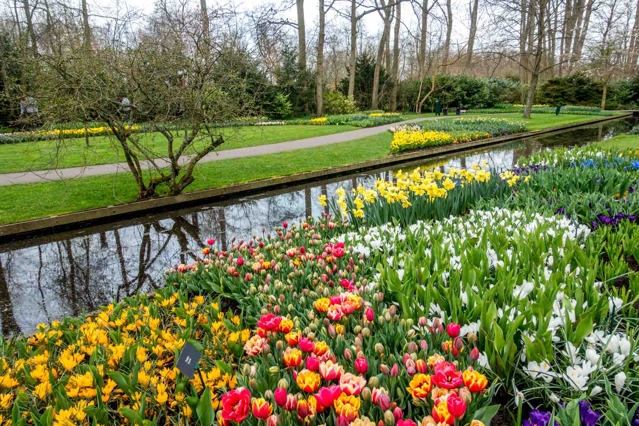 Tulips and flowers beside a canal