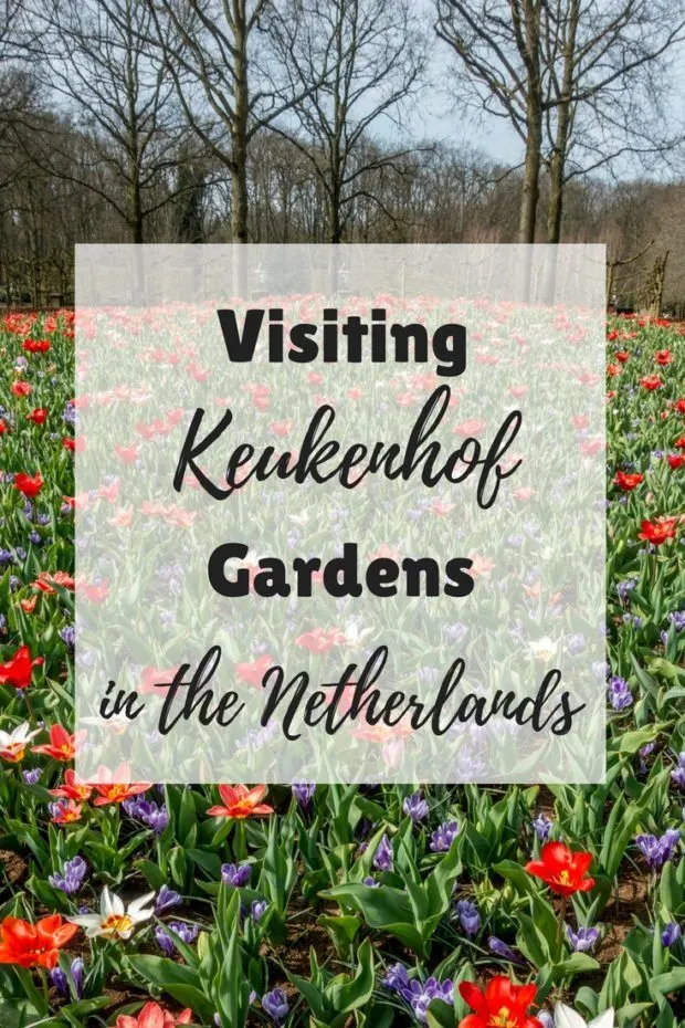 Tips for Visiting Keukenhof Gardens and the Tulip Fields in the Netherlands