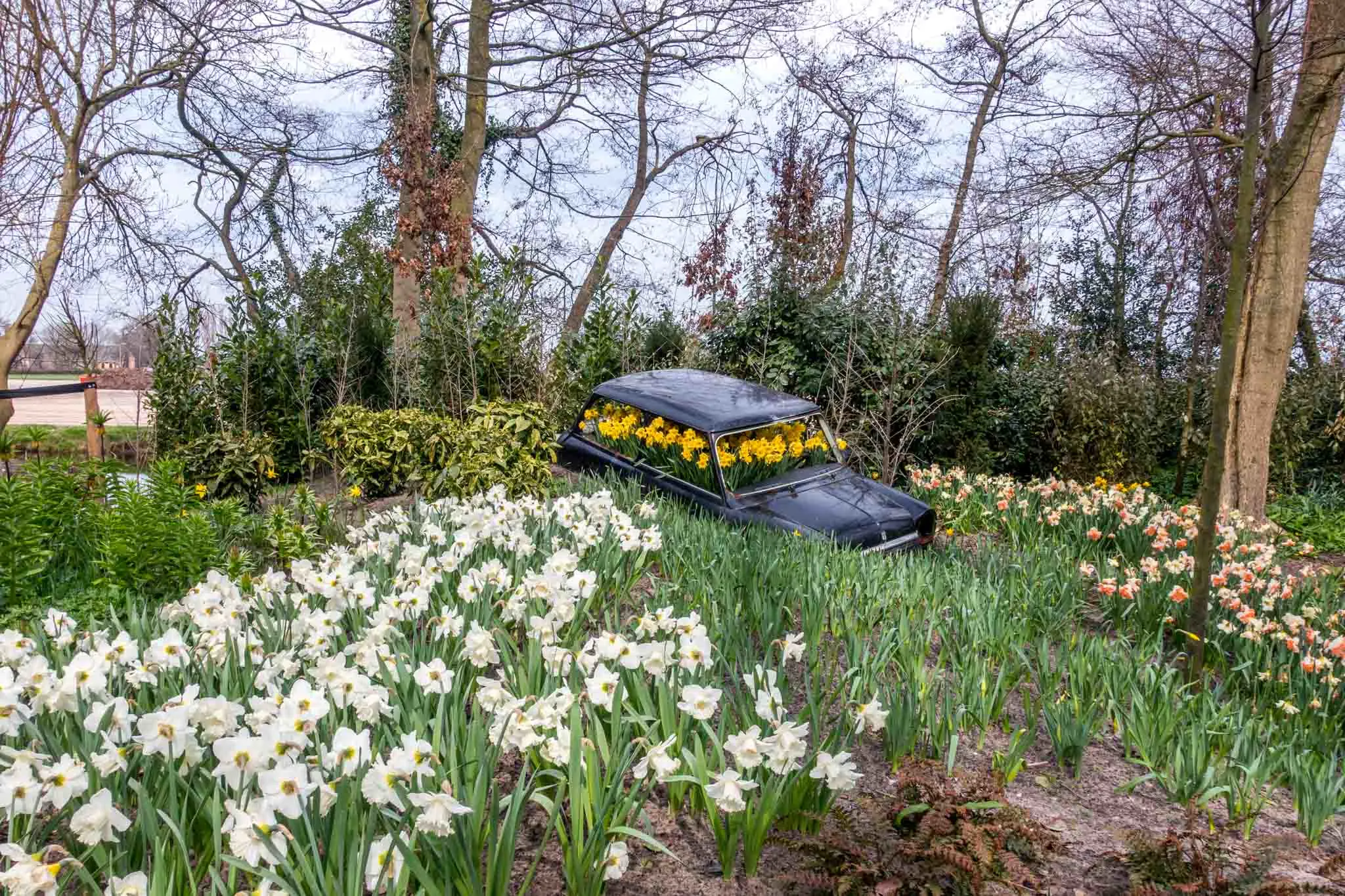 Car filled with flowers as part of an art installation