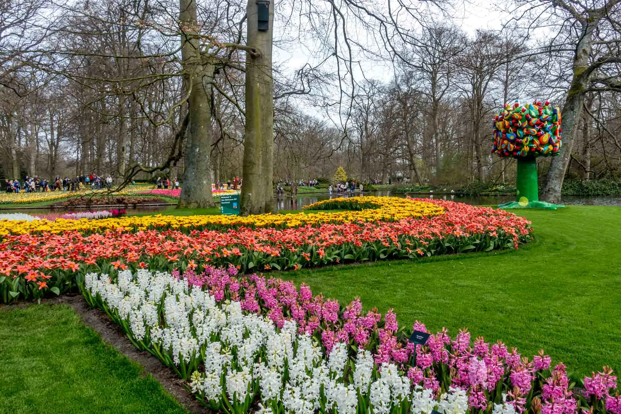 Rows of hyacinths and tulips beside a large, multicolored sculpture