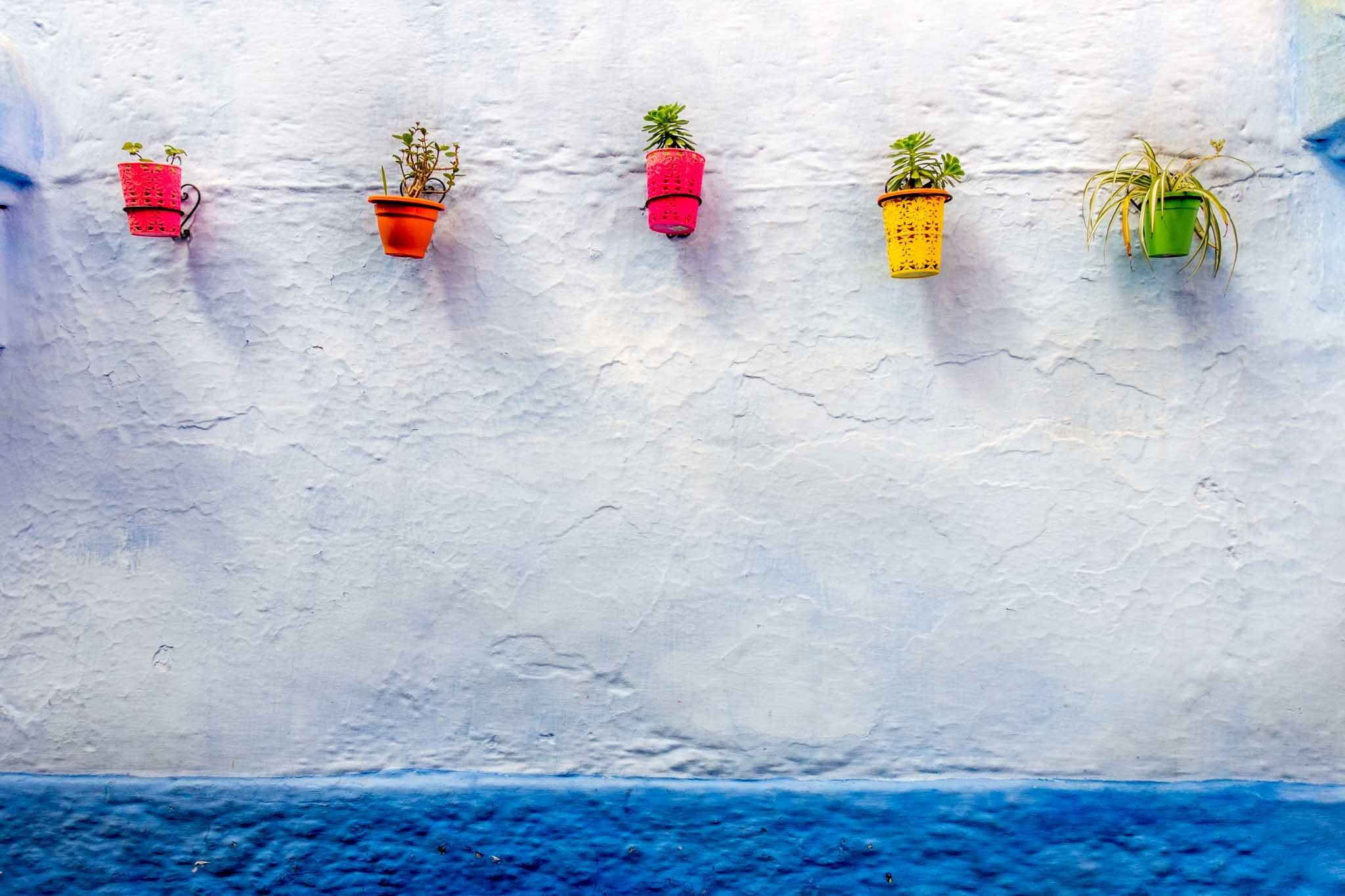 Colorful pots line a wall.