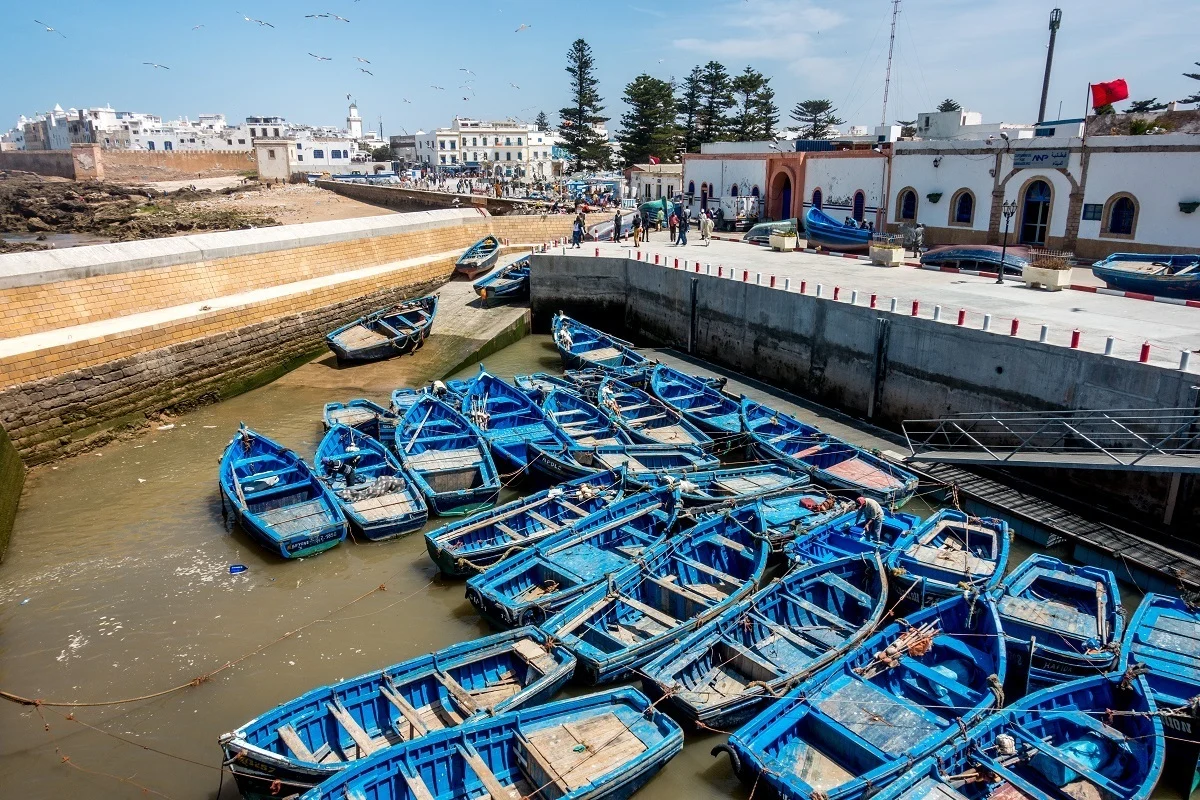 Small, blue fishing boats in the harbor of Essaouira.
