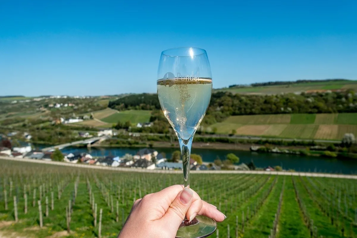 Sparkling wine in a glass overlooking the Moselle valley 