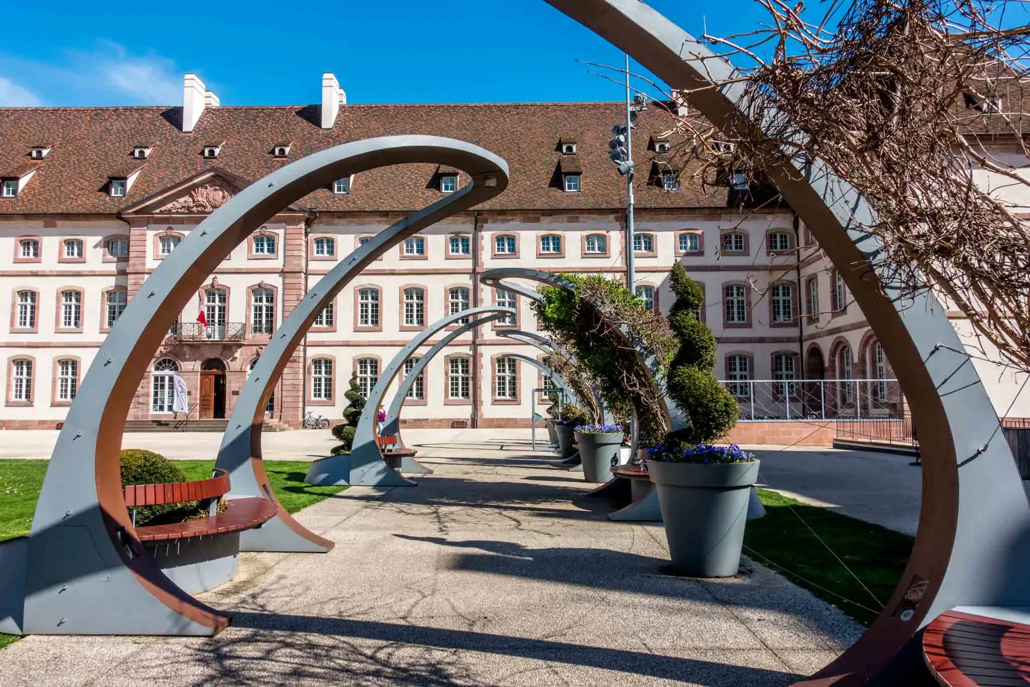 Sculptural benches and plants in a park.