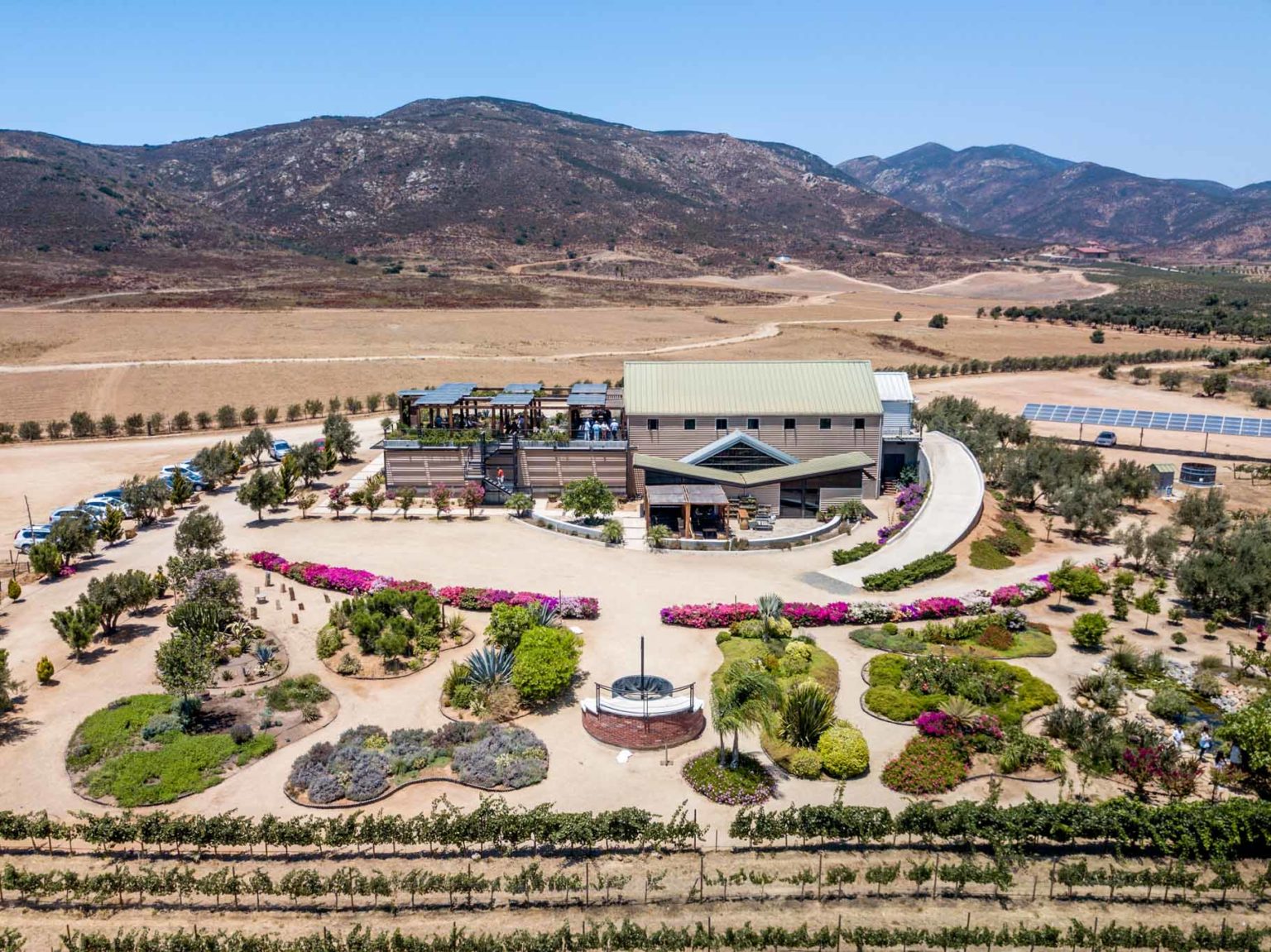 Complete Guide to the Valle de Guadalupe Wineries in Baja, Mexico