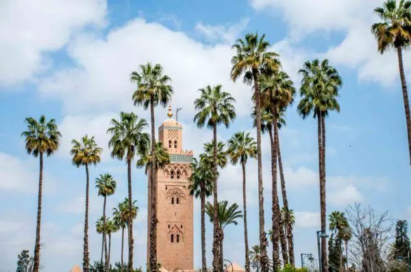 Tower surrounded with palm trees