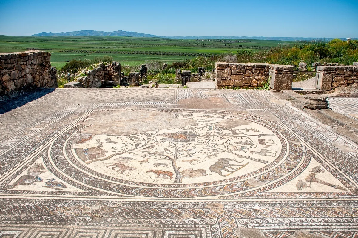 Roman mosaic at Volubilis