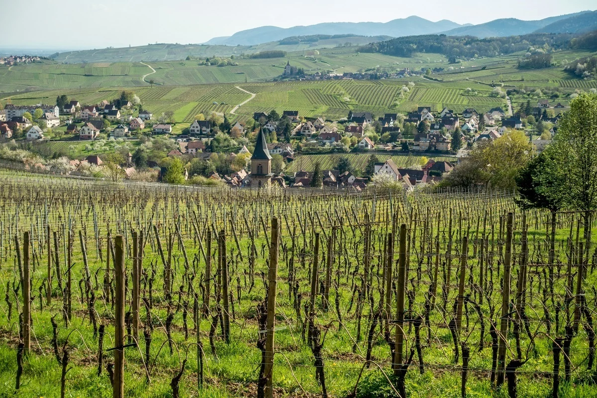 Vineyard and one of the wine-growing villages along the Route du Vin Alsace 
