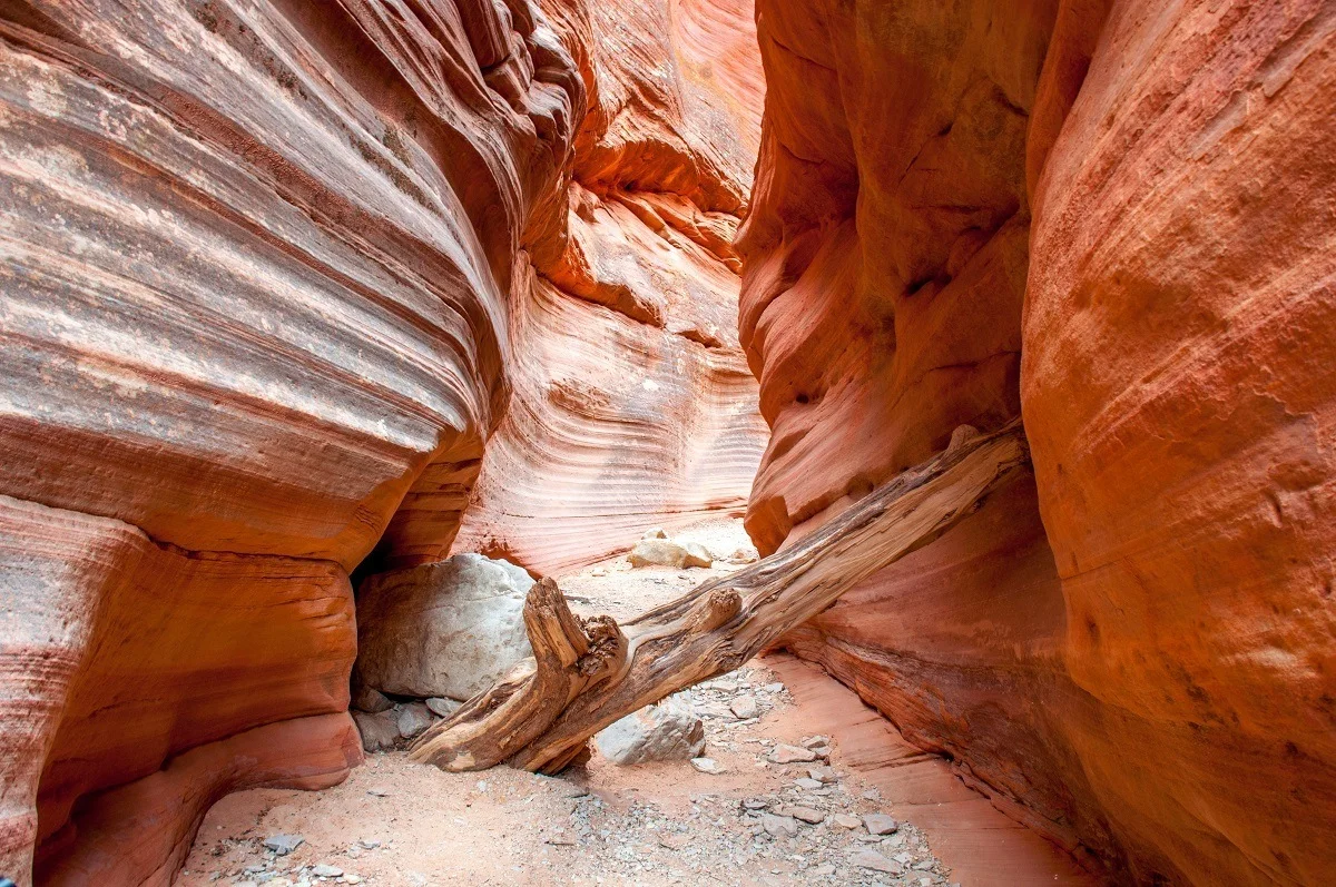 A log jammed inside The Red Canyon (aka Peek-a-Boo slot canyon) near Kanab, Utah