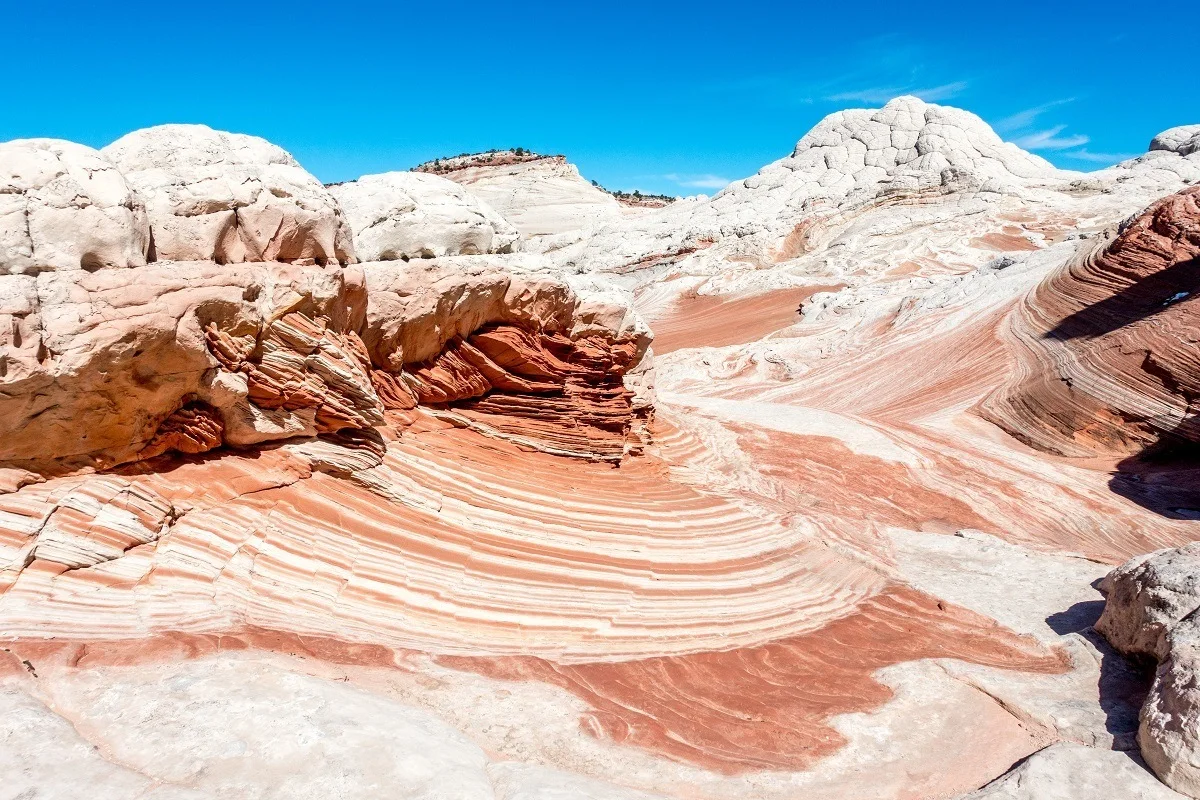 The red and white sandstone layers in the Arizona desert