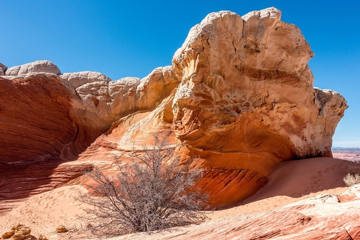 Red, wavy sandstone rock formations