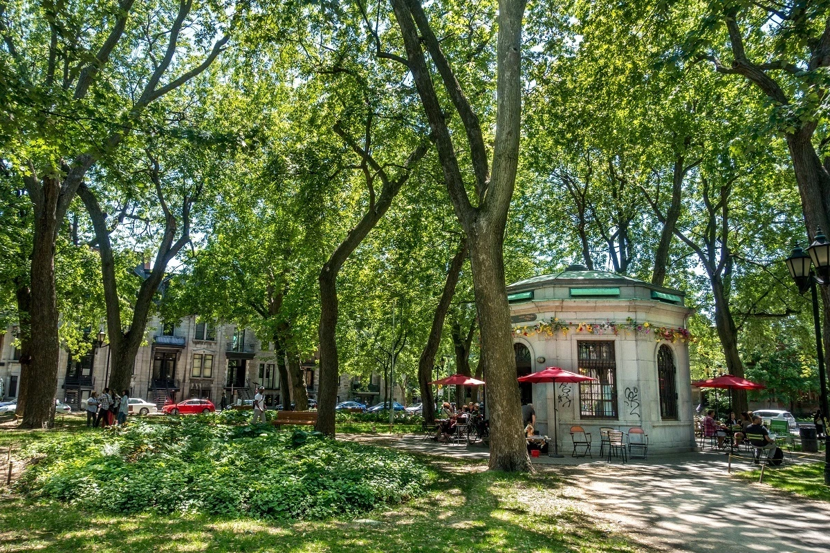 Cafe kiosk among the trees in a park