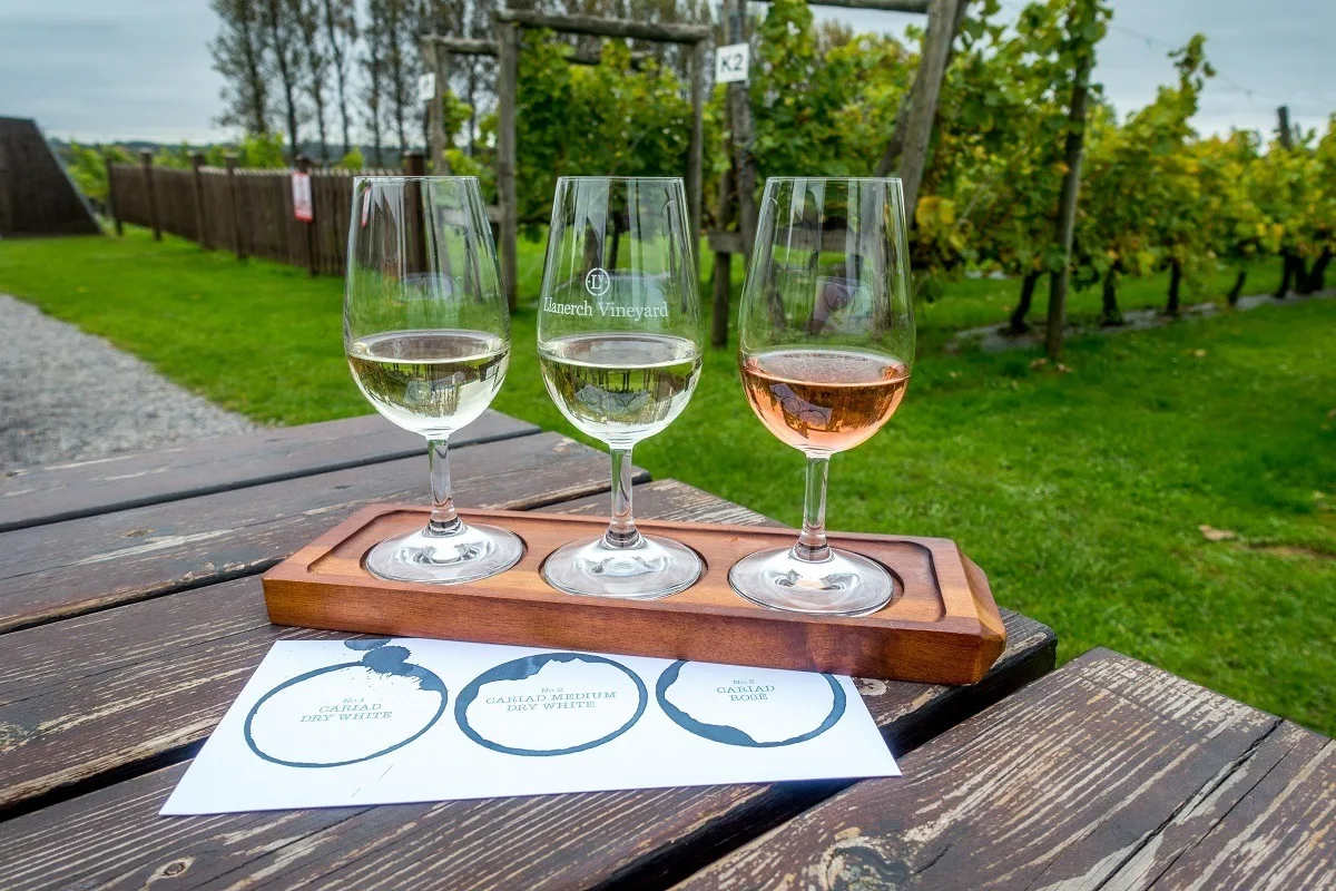 Three wine glasses on a picnic table near a vineyard