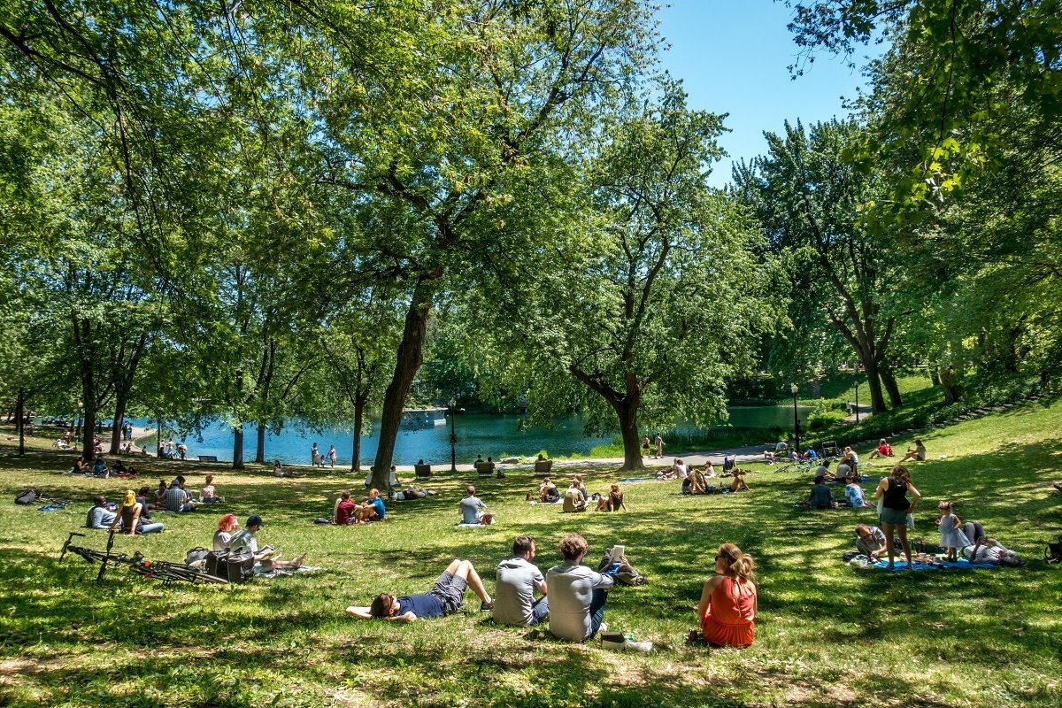 People lounging on the grass in a park by a pond 